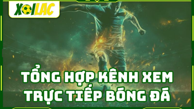 Xoilac TV tổng hợp một số kênh xem bóng đá trực tuyến được yêu thích tại Việt Nam